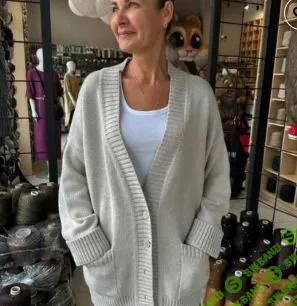 [ДомПряжи.рф] Кардиган Сверчок в кармане (2025)