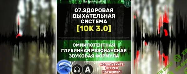Дыхательная Система 3.0 [Алхимия дельфина]