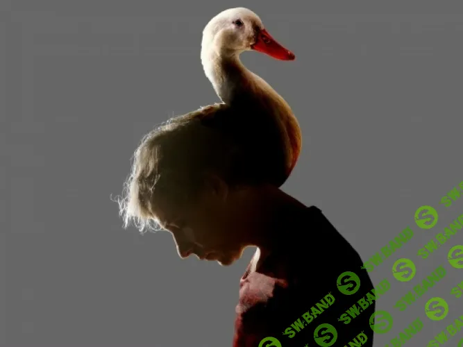 [EduNote, Евгения Гайдученко, Мария Кутузов] Как обмануть смерть: пошаговая инструкция. Не повторять в домашних условиях (2025)