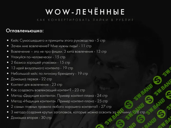 [Егор Гонин] WOW-лечённые. Как конвертировать лайки в рубли? PDF руководство к действию (2017)