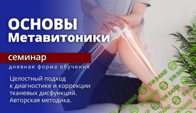 [Эдуард Нейматов] Основы Метавитоники (2023)