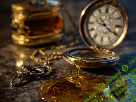 Экономика влюбленности: идеализация, перенос и гипнотическая связь [EduNote] [Эрик Смаджа]