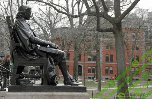 Эллен Чиса о своём опыте в Гарвардском институте