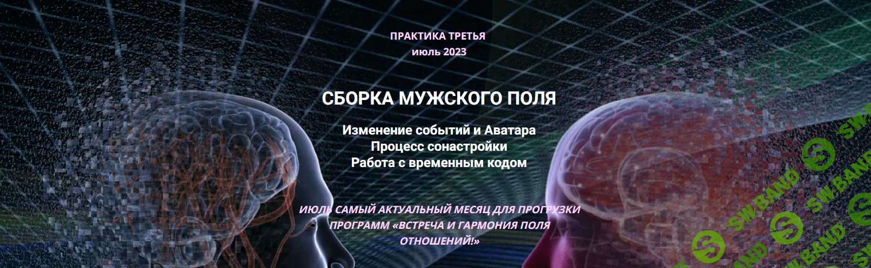 [Эмилия Франк] Сборка мужского поля. Изменение событий и Аватара (2023)
