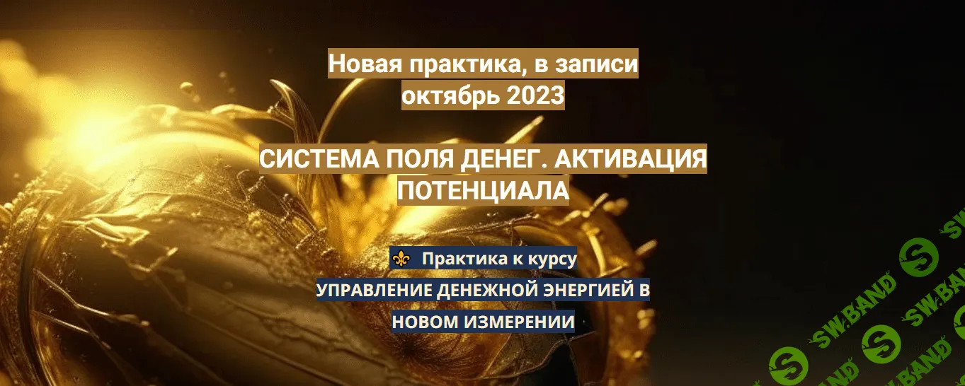 [Эмилия Франк] Система поля денег. Активация потенциала (2023)