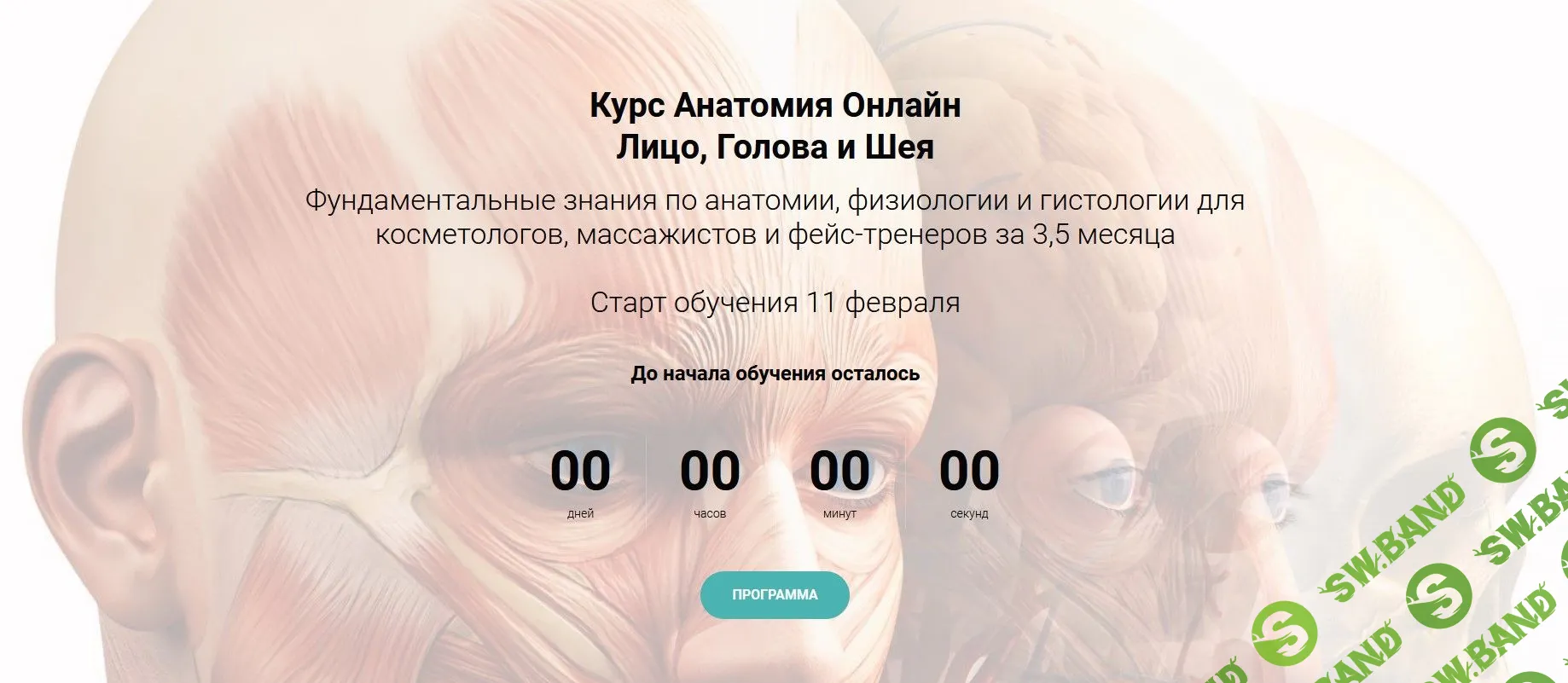 [Эмилия Савельева] Анатомия онлайн лицо, голова и шея (2023)