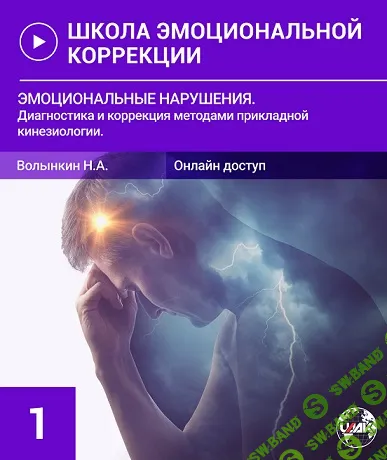 Эмоциональные нарушения. Диагностика и коррекция методами прикладной кинезиологии [Николай Волынкин]