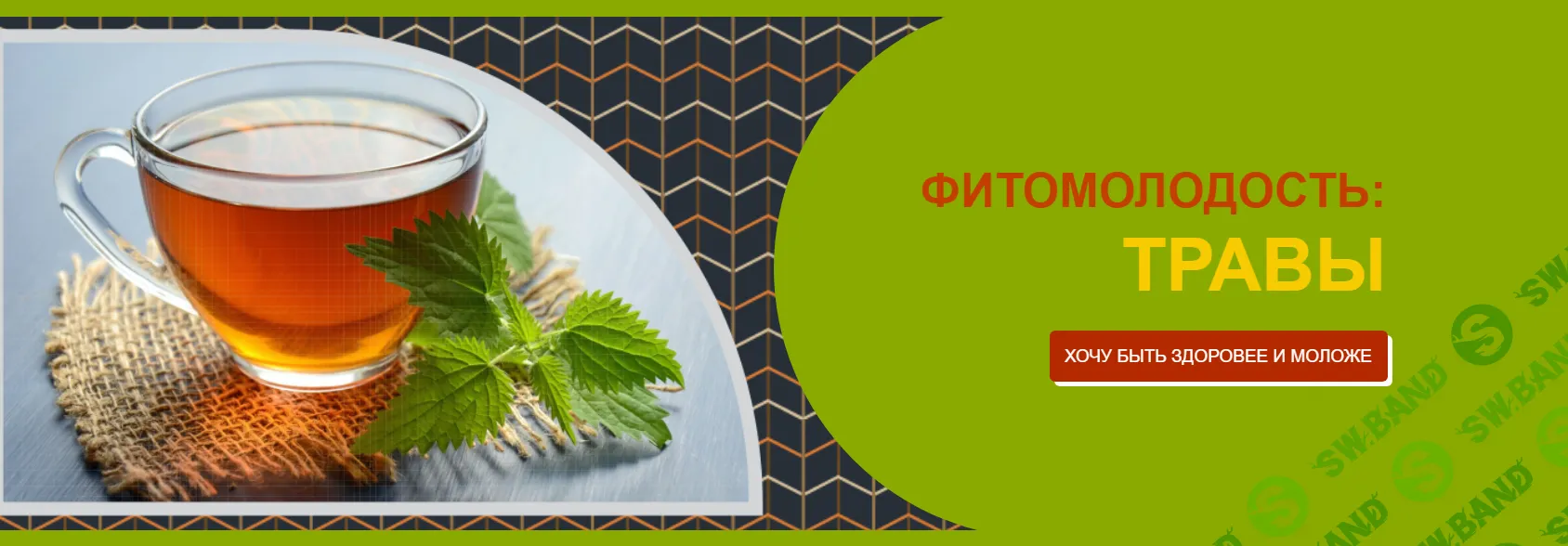 [Этель Аданье] Фитомолодость - травы (2024)