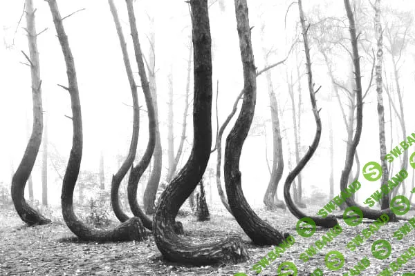 Этот пятиминутный тест расскажет, что подсознание скрывает от вас