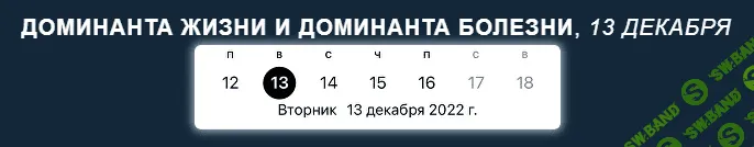 [Екатерина Акубова] Доминанта жизни и доминанта болезни (2022)
