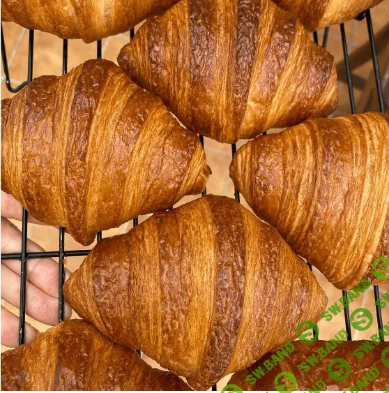 [Екатерина Алексеенко] Курс по круассанам (2023)