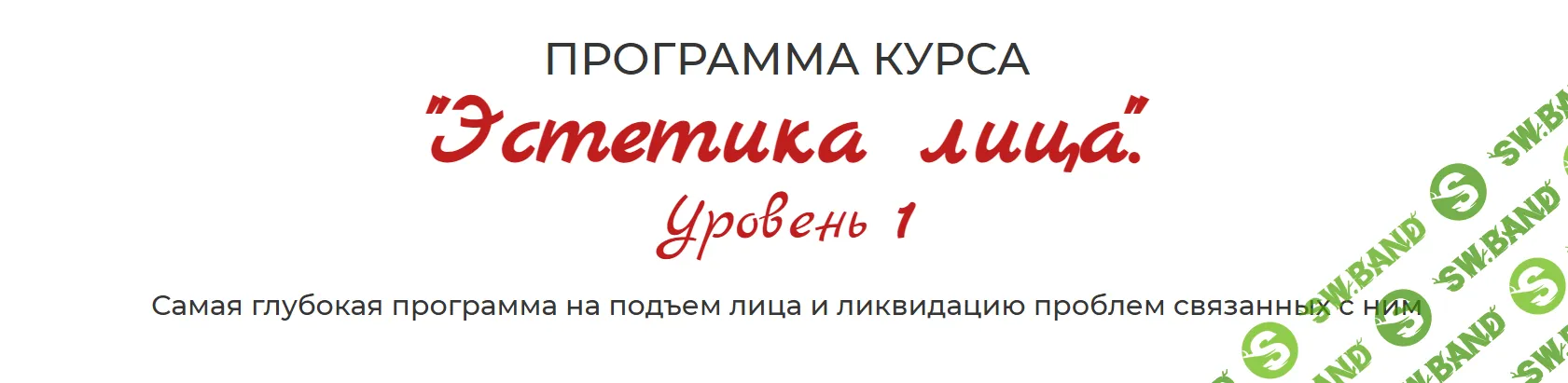 [Екатерина Федорова] Эстетика лица, шеи, зоны декольте. Уровень 1 (2025)