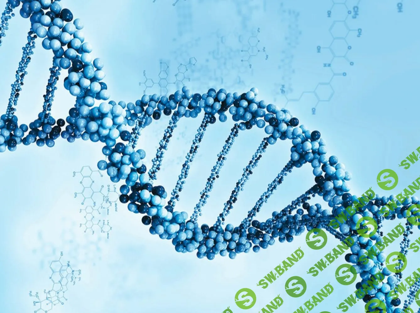 [Екатерина Гарцева] Тело знает (2023)