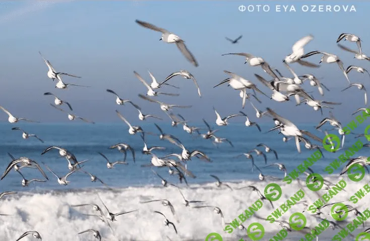 [Екатерина Гарцева] Возвращаясь к Себе (2021)