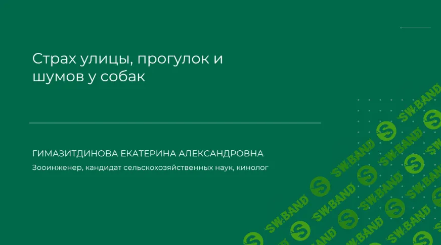 [Екатерина Гимазитдинова] Страх улицы, прогулок и шумов у собак - разбор реального кейса (2024)