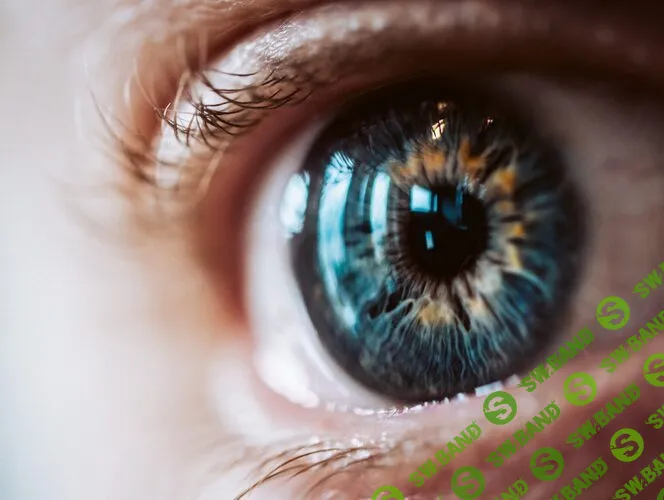 [Екатерина Юсупова] Протокол Зрение (2026)