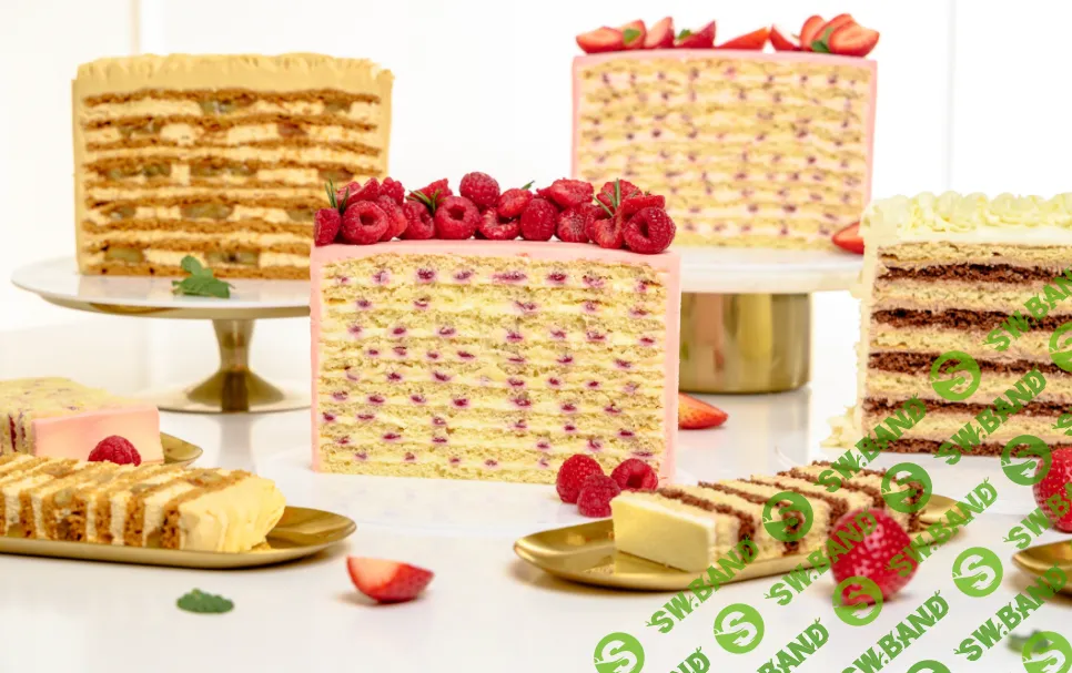 [Екатерина Ольховская] 180 молочных девочек (2024)