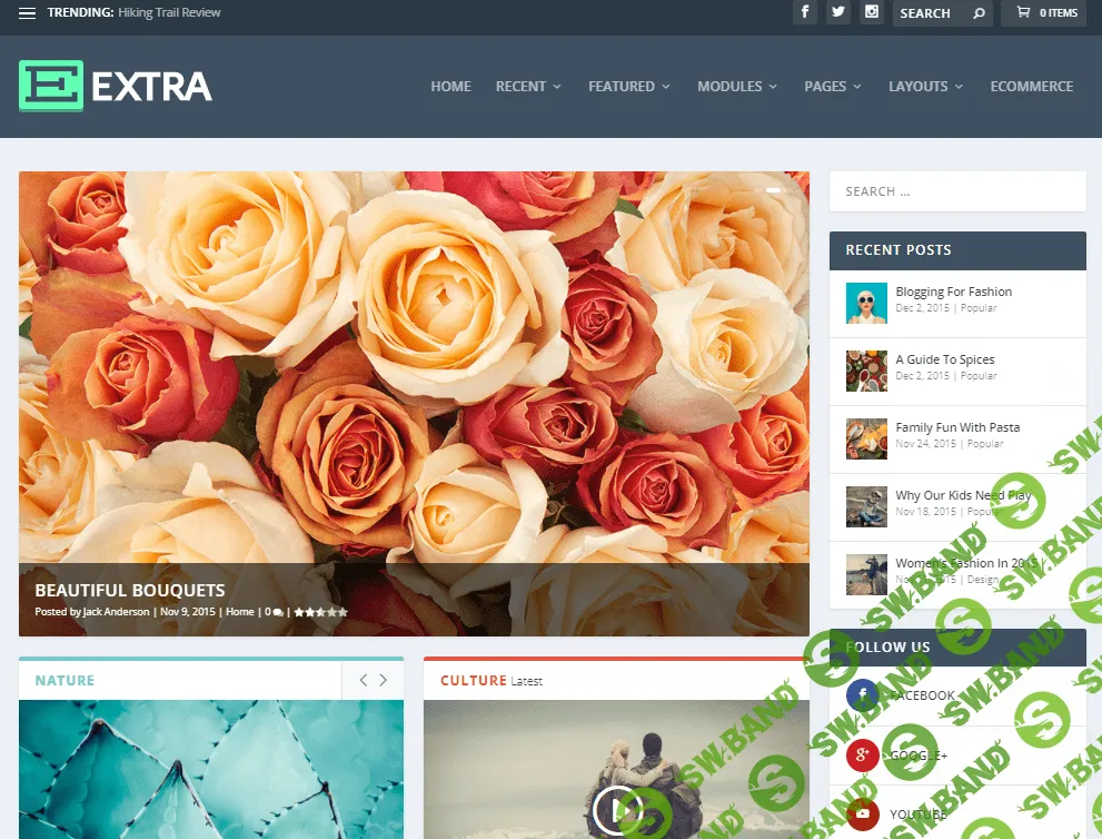 [elegantthemes] Extra v4.12.1 Rus - новостной шаблон для WordPress (2021)
