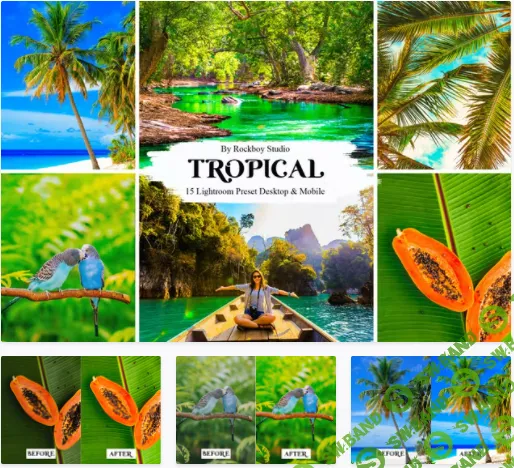 [elements.envato] 15 Tropical Lightroom Presets (2022)