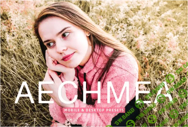 [elements.envato] Aechmea Mobile & Desktop Lightroom Presets (2022)