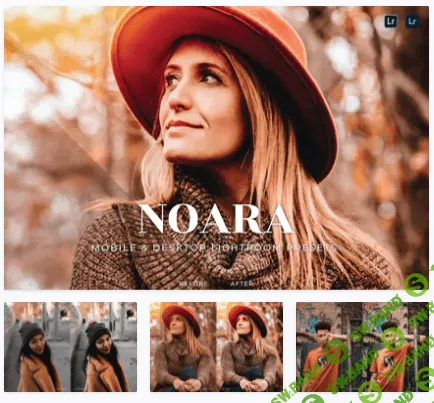 [elements.envato] Noara Mobile and Desktop Lightroom Presets (2021)