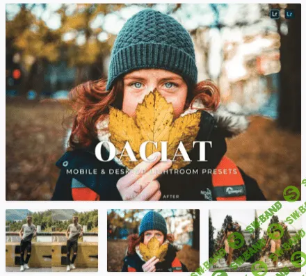 [elements.envato] Oaciat Mobile and Desktop Lightroom Presets (2021)