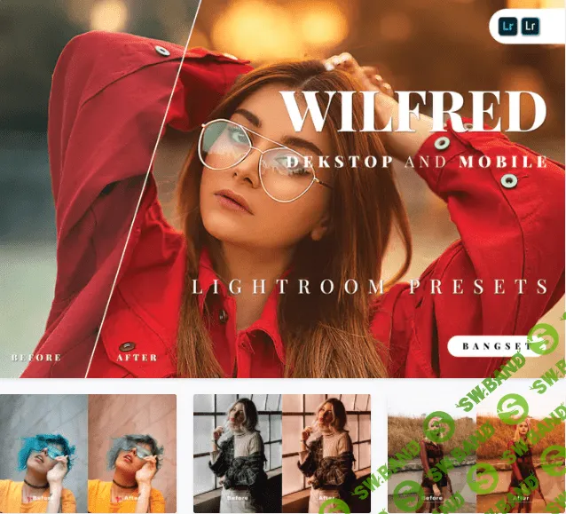 [Elements.envato] Wilfred для настольных и мобильных устройств Lightroom (2021)