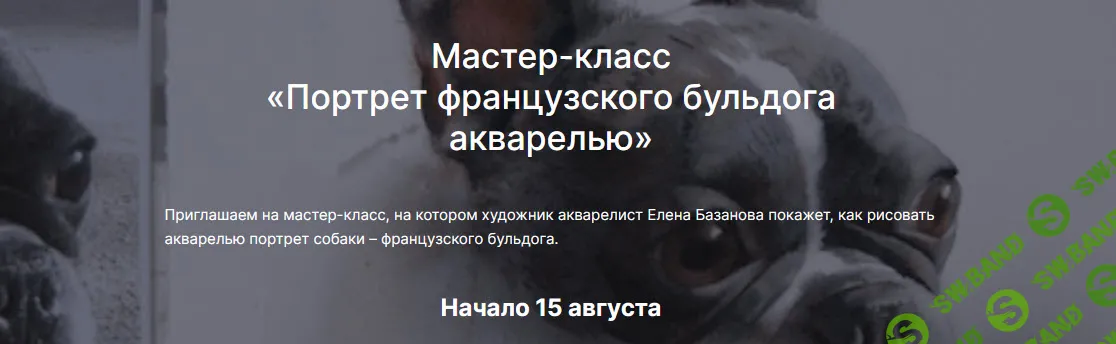 [Елена Базанова, lectoroom] Портрет французского бульдога акварелью (2025)