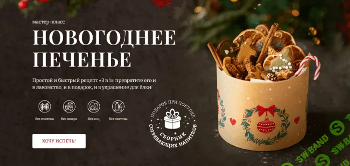 [Елена Богданова] [Awaken School] Новогоднее печенье (2022)