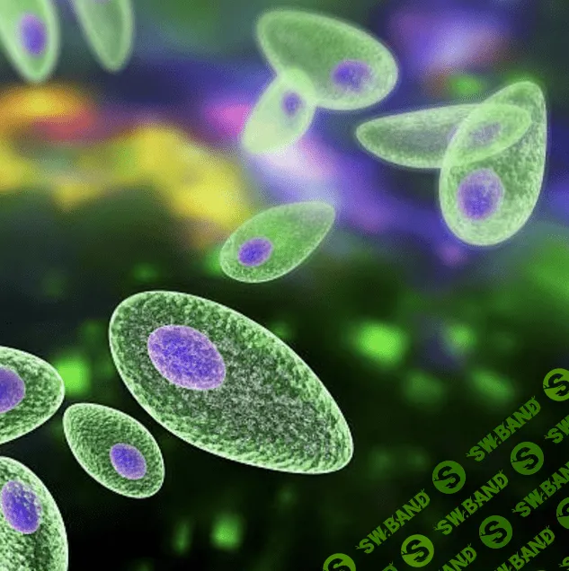 [Елена Чунаева] Паразитоз (2022)