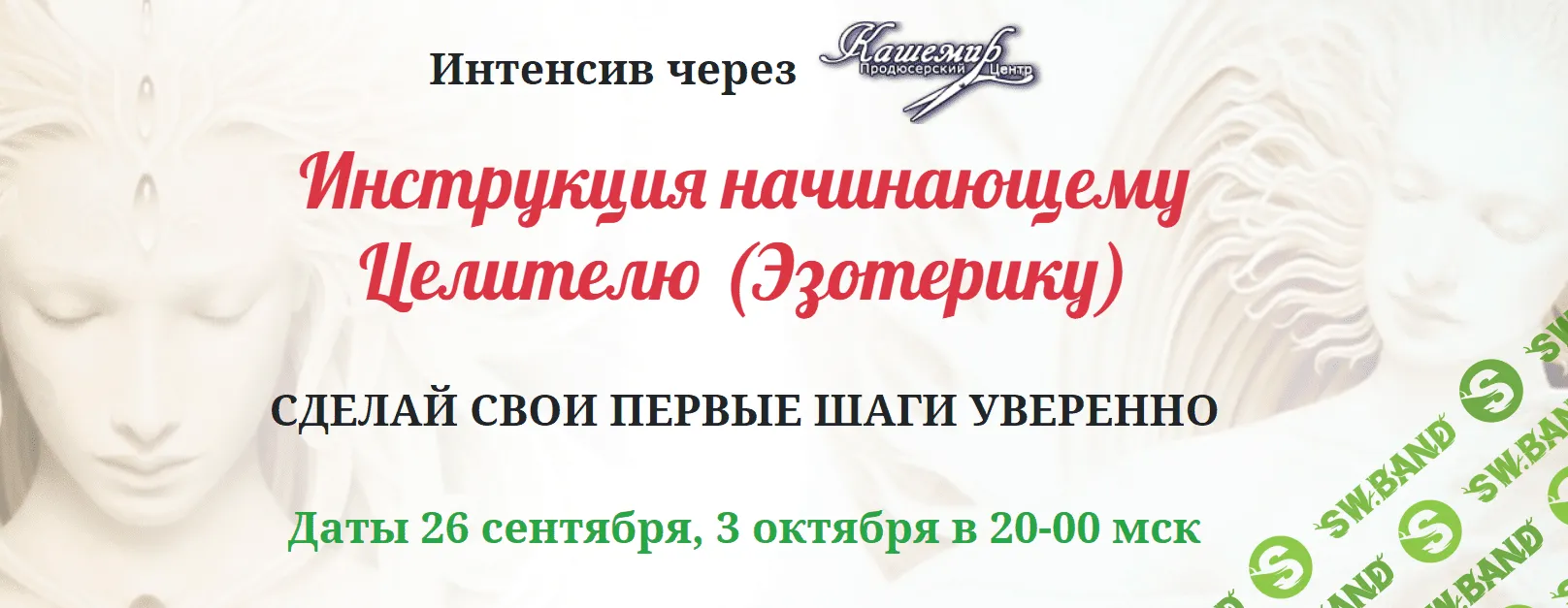 [Елена Газизова] Инструкция начинающему Целителю (Эзотерику) (2020)