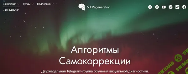 [Елена Гондорчин] Алгоритмы самокоррекции (2025)
