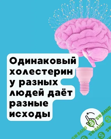 [Елена Иванова, Humberto 2.0] Холестерин, бляшки и статины (2025)