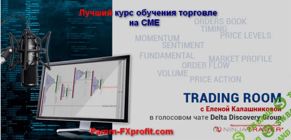 [Елена Калашникова] Понимание рынка от ESDaytrader. Эксклюзивное обучение трейдингу на CME