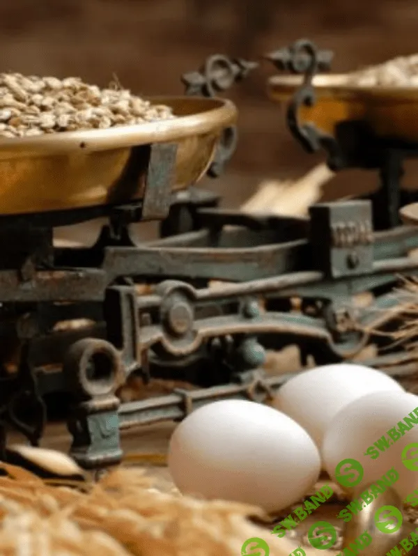 [Елена Конорева] Нормы кормления сельскохозяйственной птицы (2023)