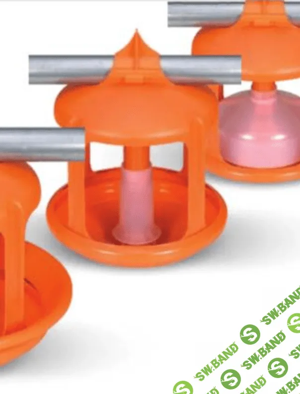 [Елена Конорева] Оборудование в птицеводстве. Тема 2. Система кормления (2023)