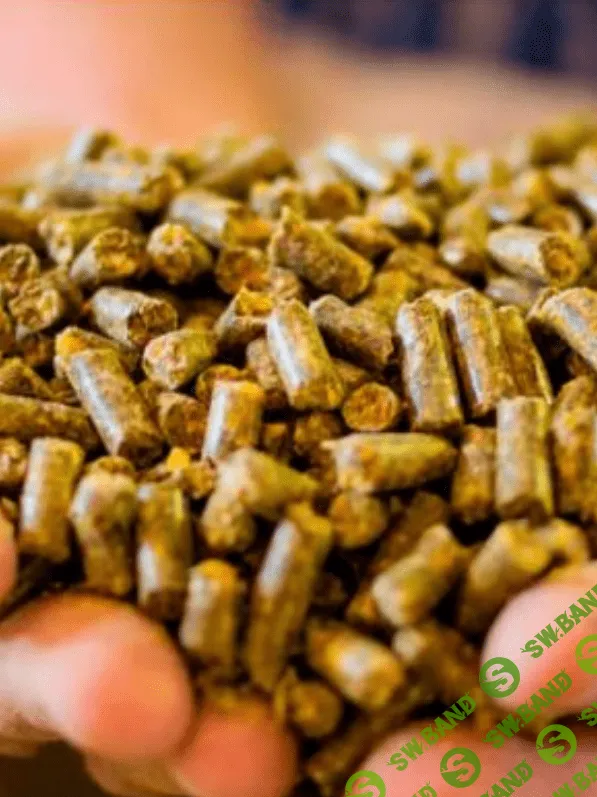 [Елена Конорева] Виды комбикормовой продукции. Анализ качества комбикормов (2023)