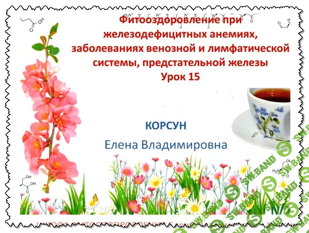 [Елена Корсун] Фитооздоровление при железодефицитных анемиях, заболеваниях венозной и лимфатической системы, предстательной железы