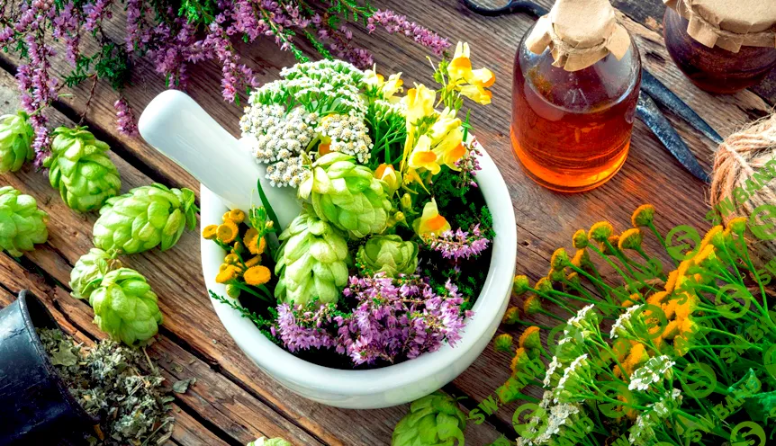 [Елена Корсун] Технология приготовления фитопрепаратов в домашних условиях (2022)