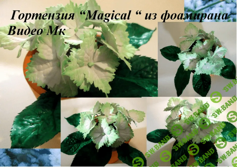 [Елена Мирсанова] Гортензия Magical из фоамирана