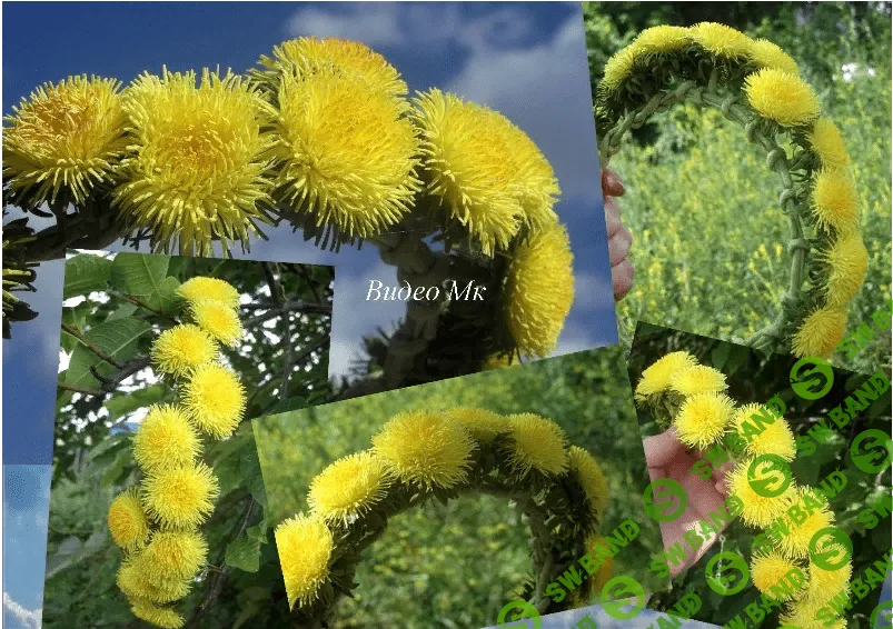 [Елена Мирсанова] Венок с одуванчиками из фоамирана