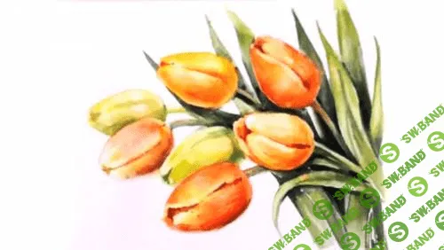 [Елена Мороз] Тюльпаны