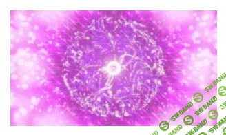 [Елена Морозова] Базовые Активации ДНК