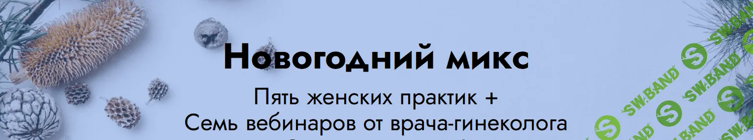 [Елена Музыченко] Новогодний микс: 5 женских практик + 7 вебинаров от врача гинеколога (2021)