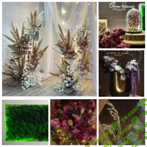 [Елена Попова] Интерьерная флористика и сухоцветы. 2 ступень Profi Level. Тариф Стандарт (2024)