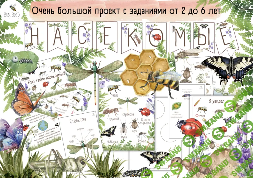 [Елена Самсонова, busy-bee] Большой проект Насекомые (2025)