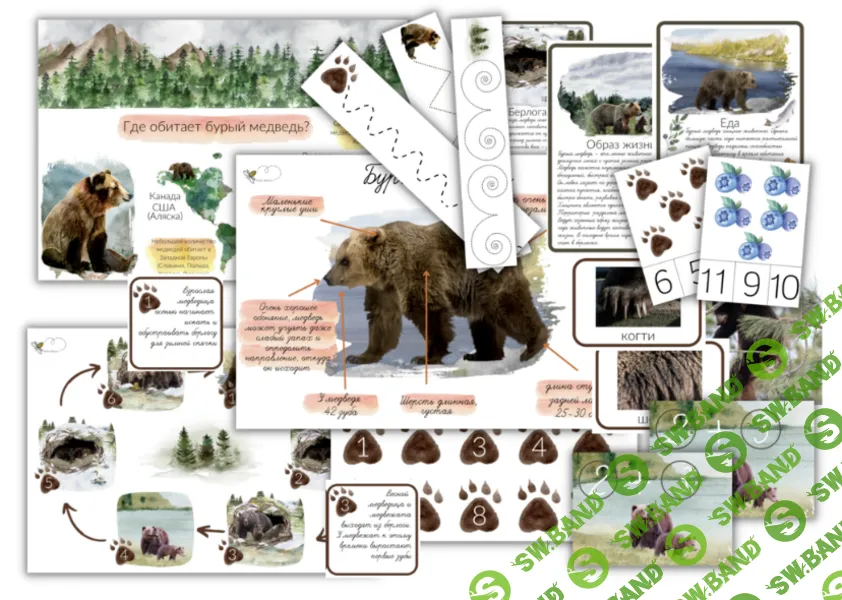 [Елена Самсонова, busy-bee] Бурый медведь (2025)