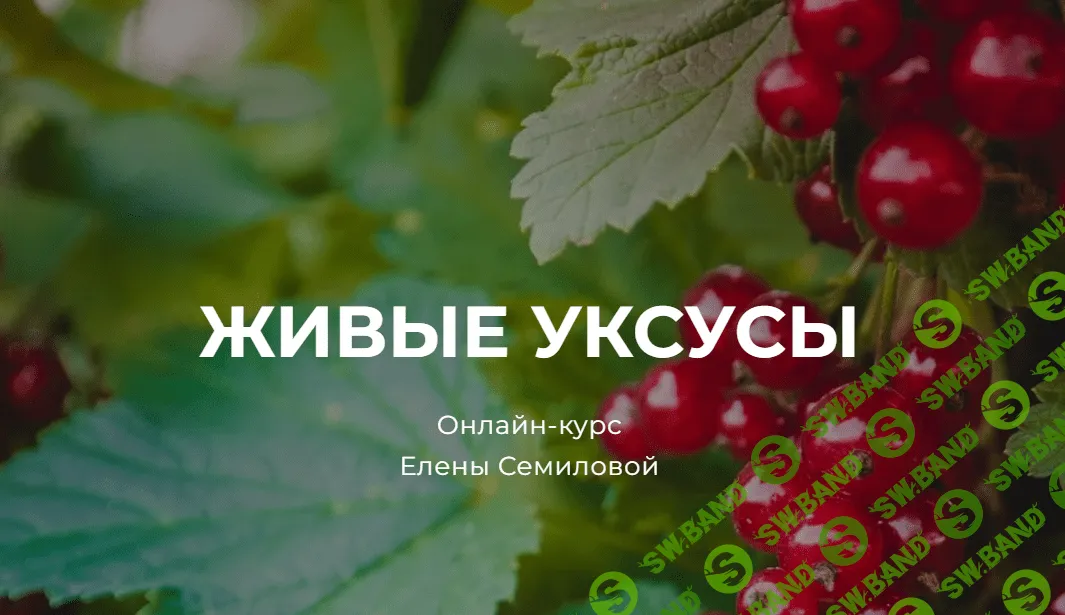 [Елена Семилова] Живые уксусы (2023)