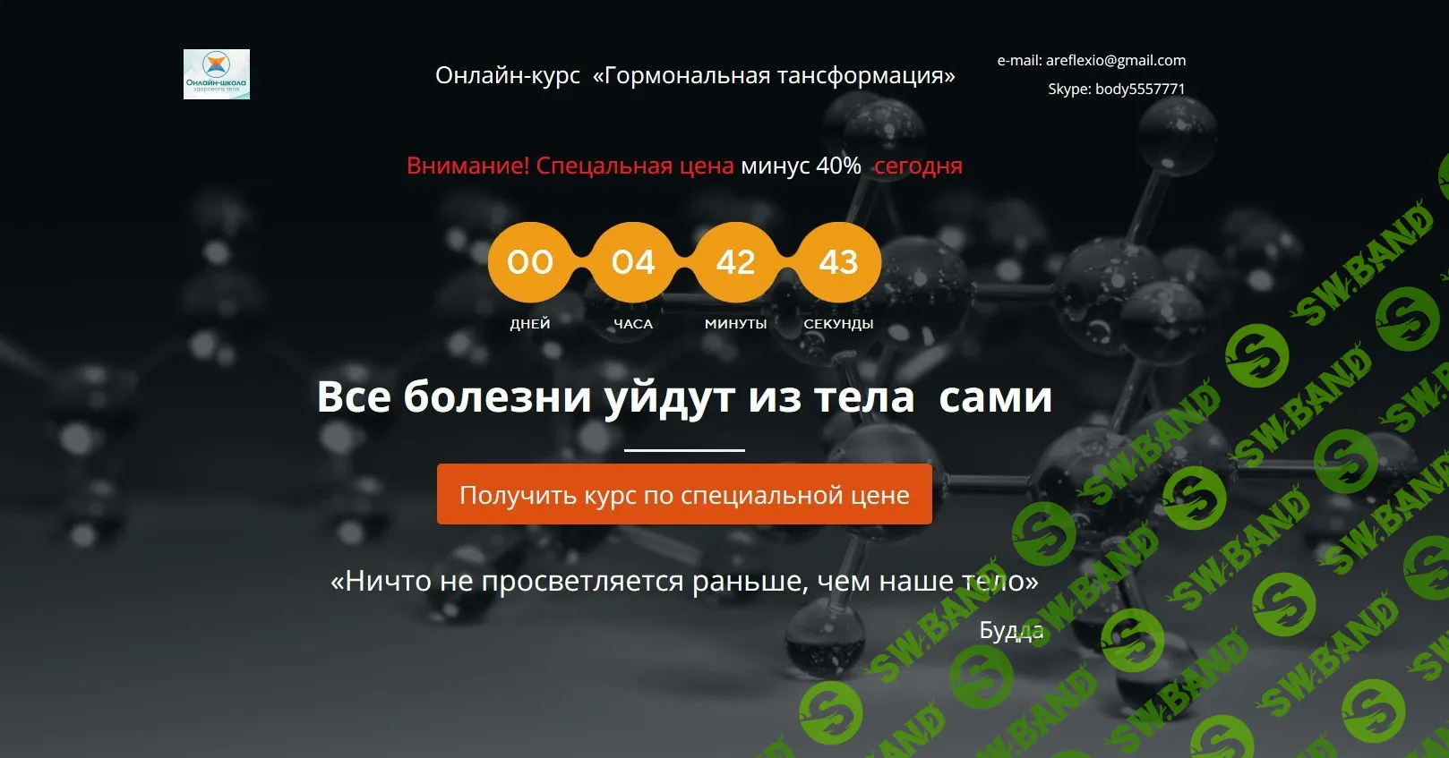 [Елена Шапаренко] Гормональная трансформация. Продвинутый (2018)