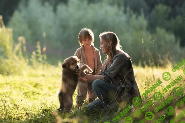 [Елена Шумилова] Создание красивых сюжетных Reels (2021)